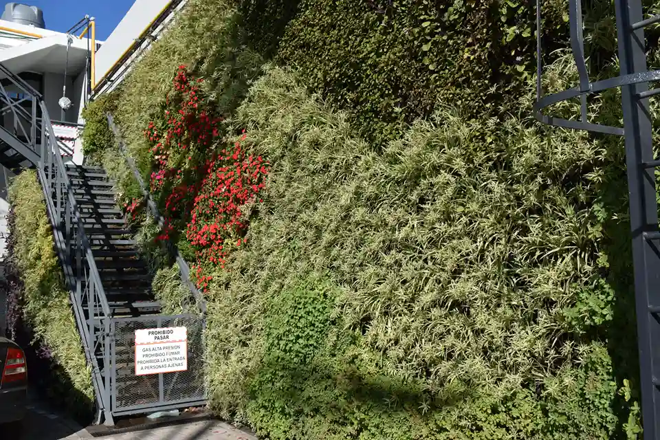 Jardín vertical YPF 2