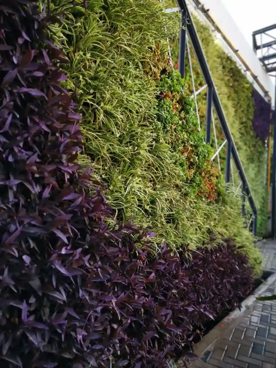 Jardín vertical YPF 5