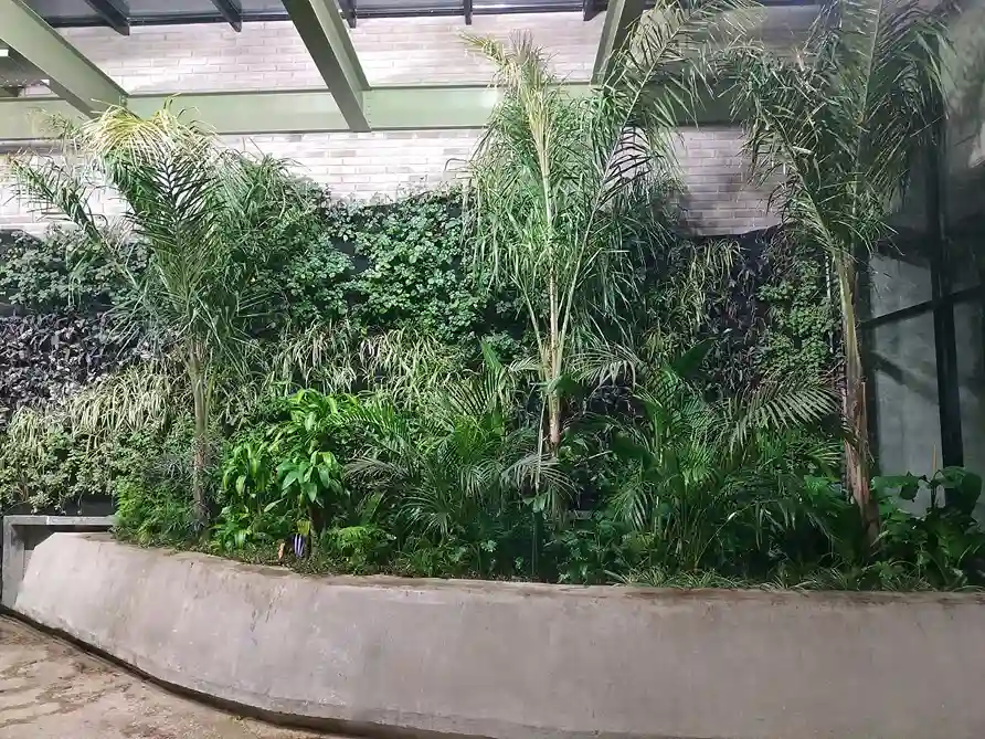 Jardín interior Pascual 3